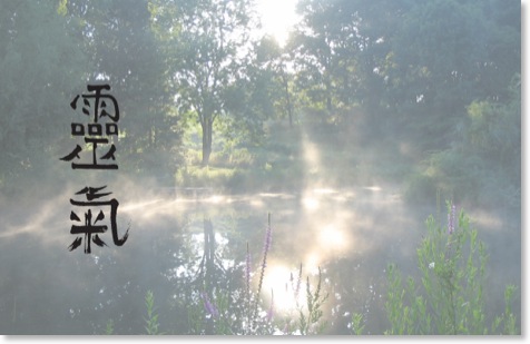 BeingReiki_HomeKongePond