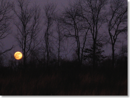 BeingReiki_Moon_Resized_5948